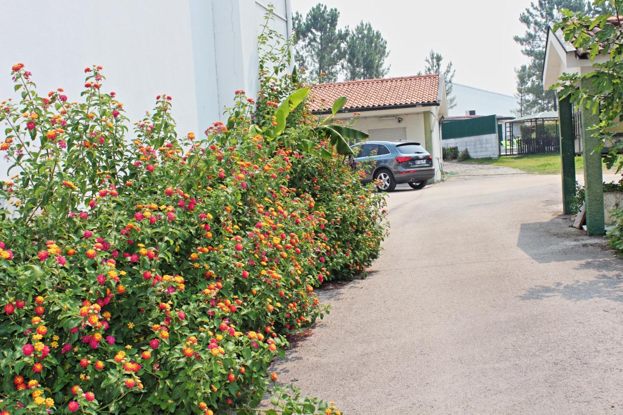 מילהדה Residencial Pinho Verde מראה חיצוני תמונה